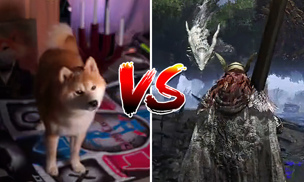 Elden Ring เมื่อน้องหมาขอโชว์สู้บอสด้วยแผ่นเกมเต้น!