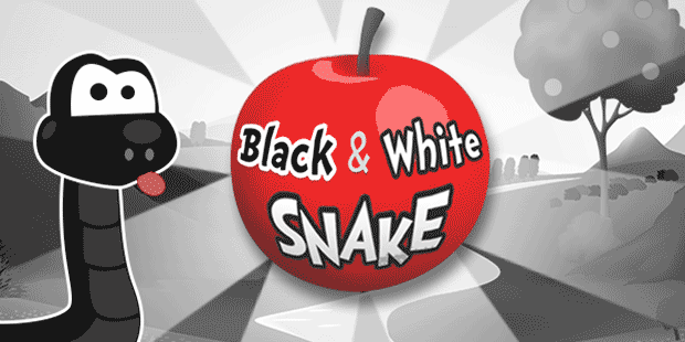 Black and White Snake